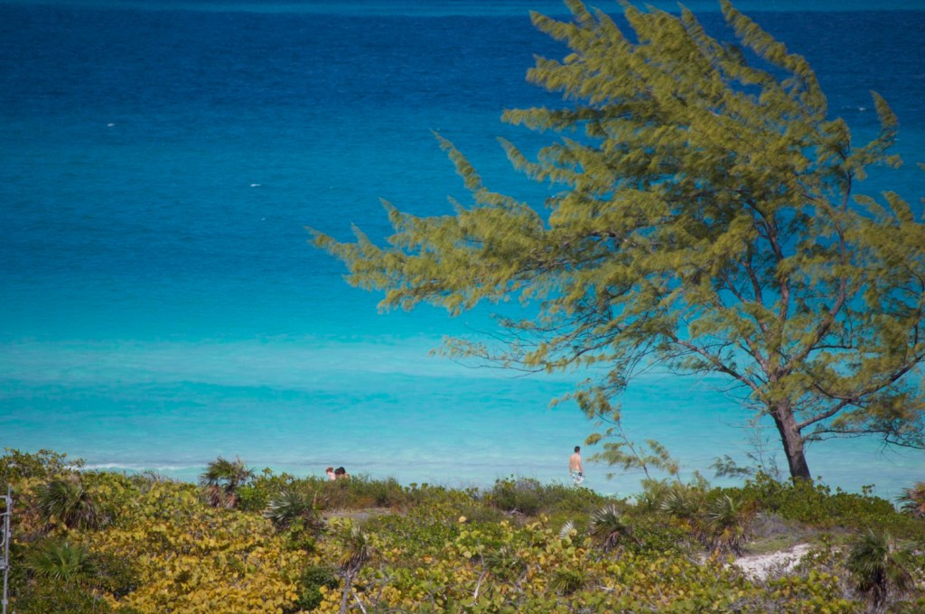 My Cuban Vacation in&nbsp;Pictures