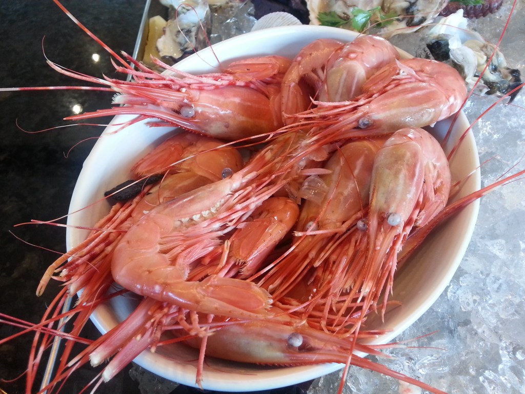 ARC Launch - Spotted Prawns