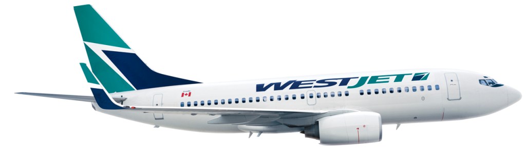 WJ 700 winglet rght 4in 4c[1]