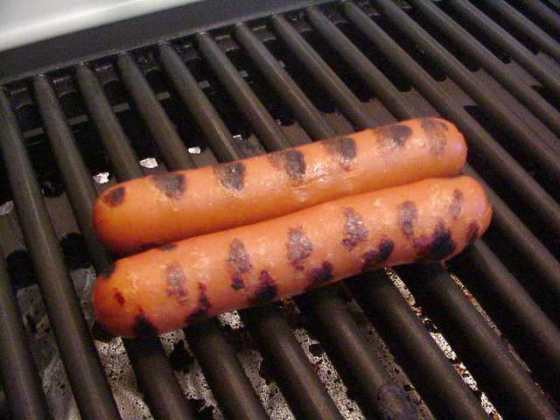 Public domain image, royalty free stock photo from www.public-domain-image.com