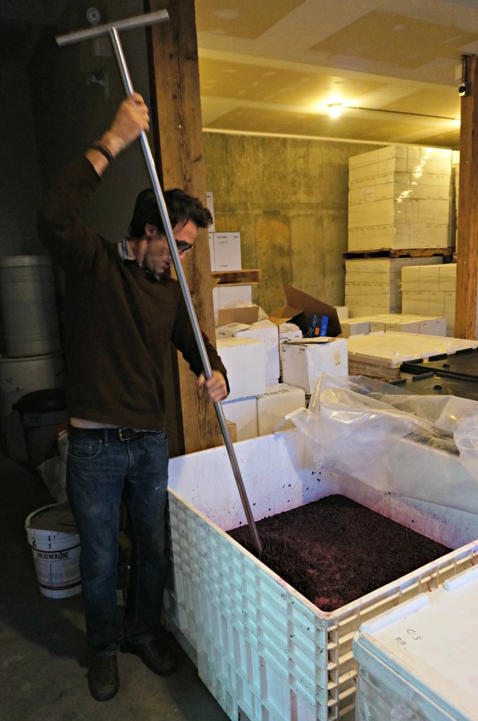 Quidni Estate Winery