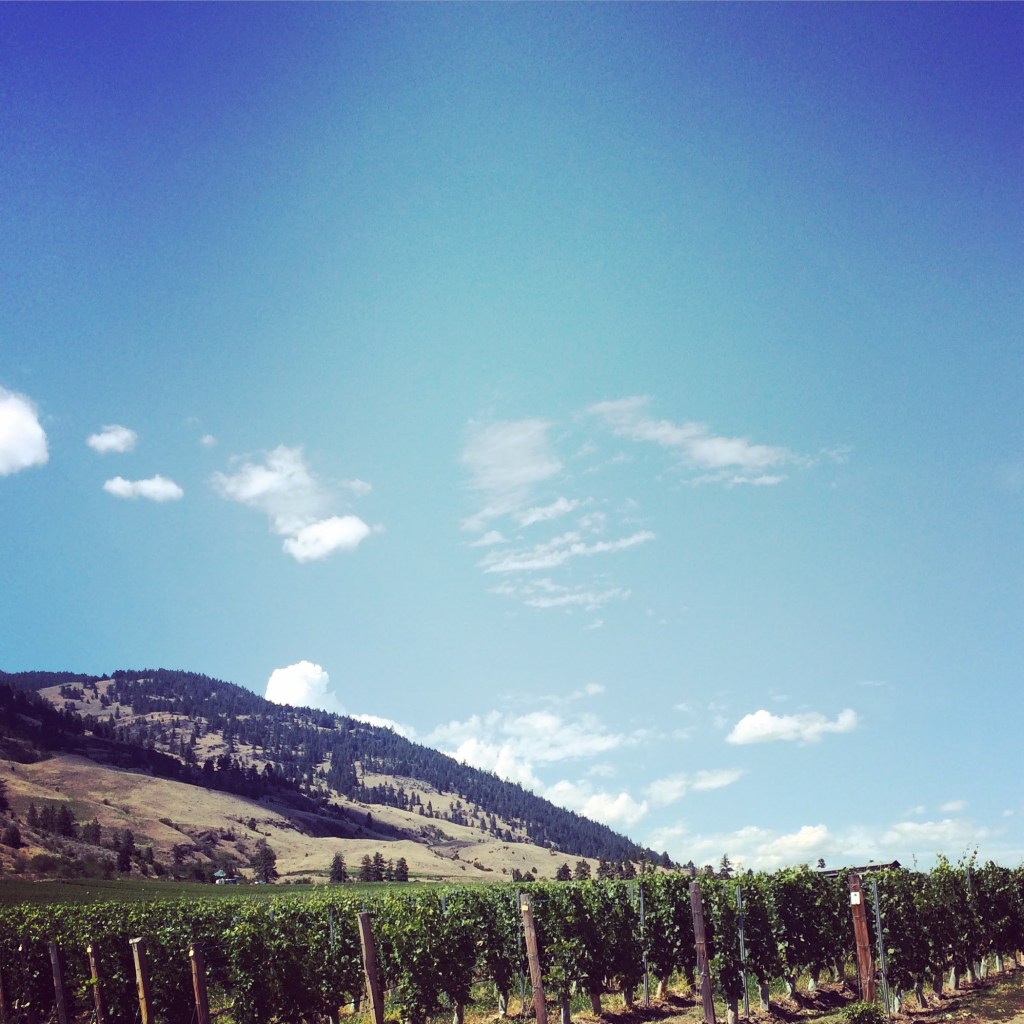 Winery Osyoos Yoga Retreat