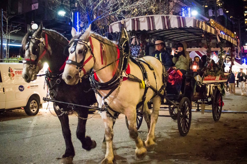 candytown_f849_a%cc%82-riz-herbosa-dg-resized