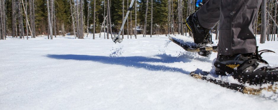 golden-bc-activities-snowshoeing-8