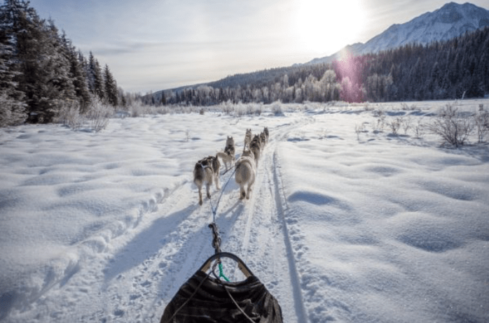 Planning a Winter Getaway? Here are Seven Things to do in Golden,&nbsp;BC