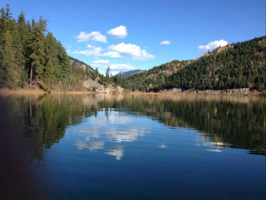 Liberation Yoga - Vancouver Bits and Bites