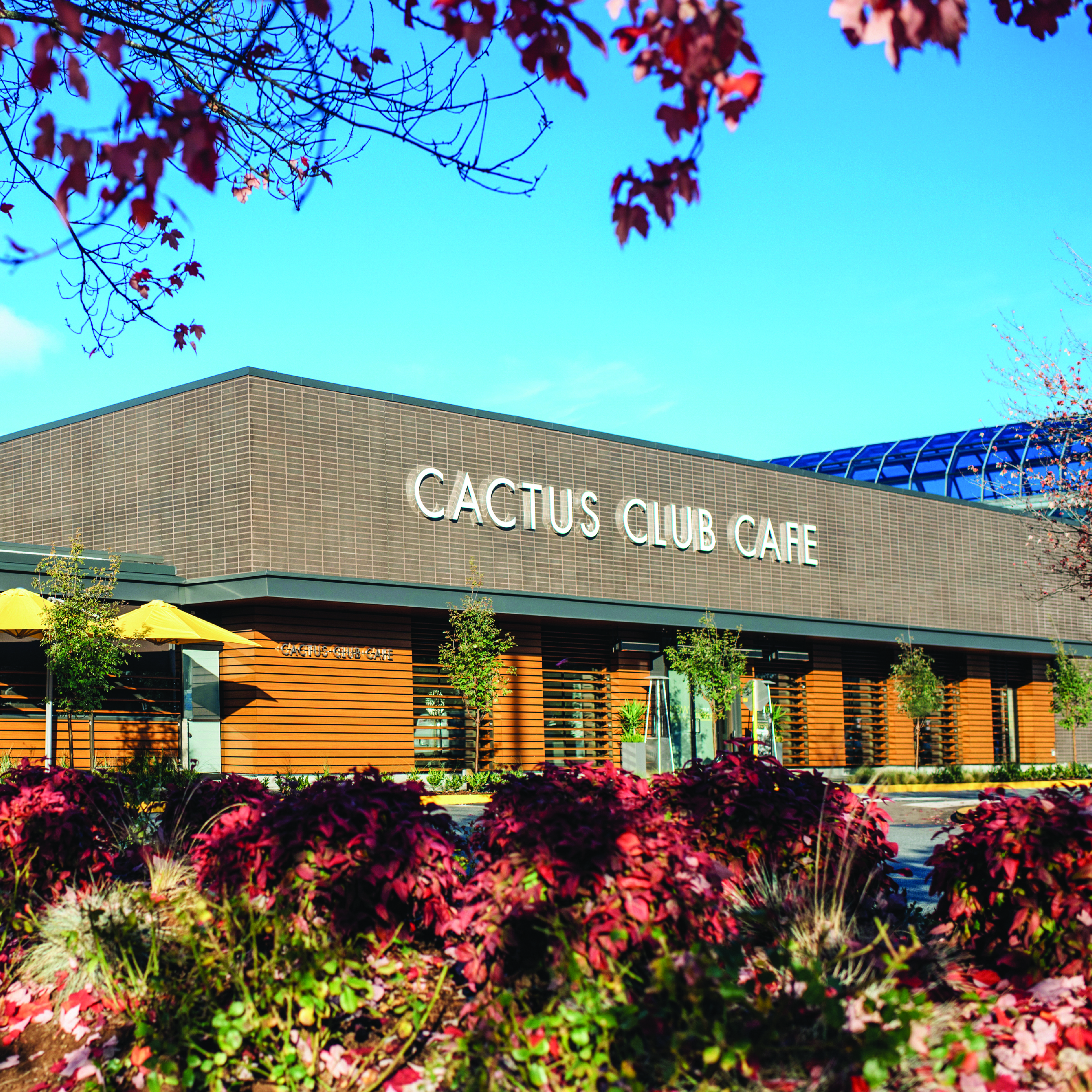 Cactus Club Cafe opens brand new Richmond Centre location!