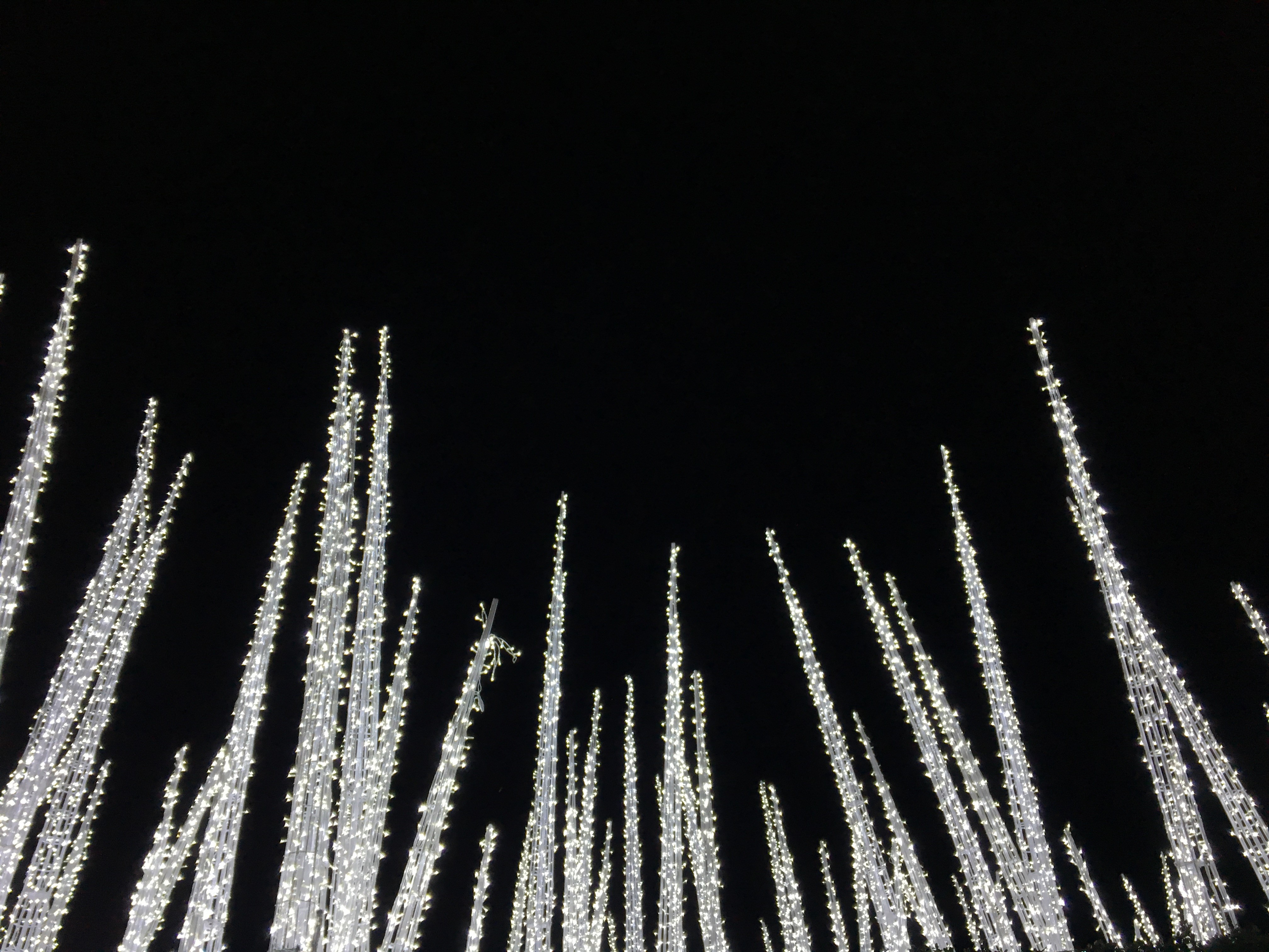 Capture the spirit of the season at Canada Place!