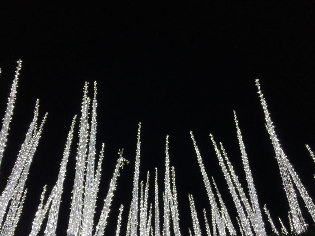 Capture the spirit of the season at Canada&nbsp;Place!