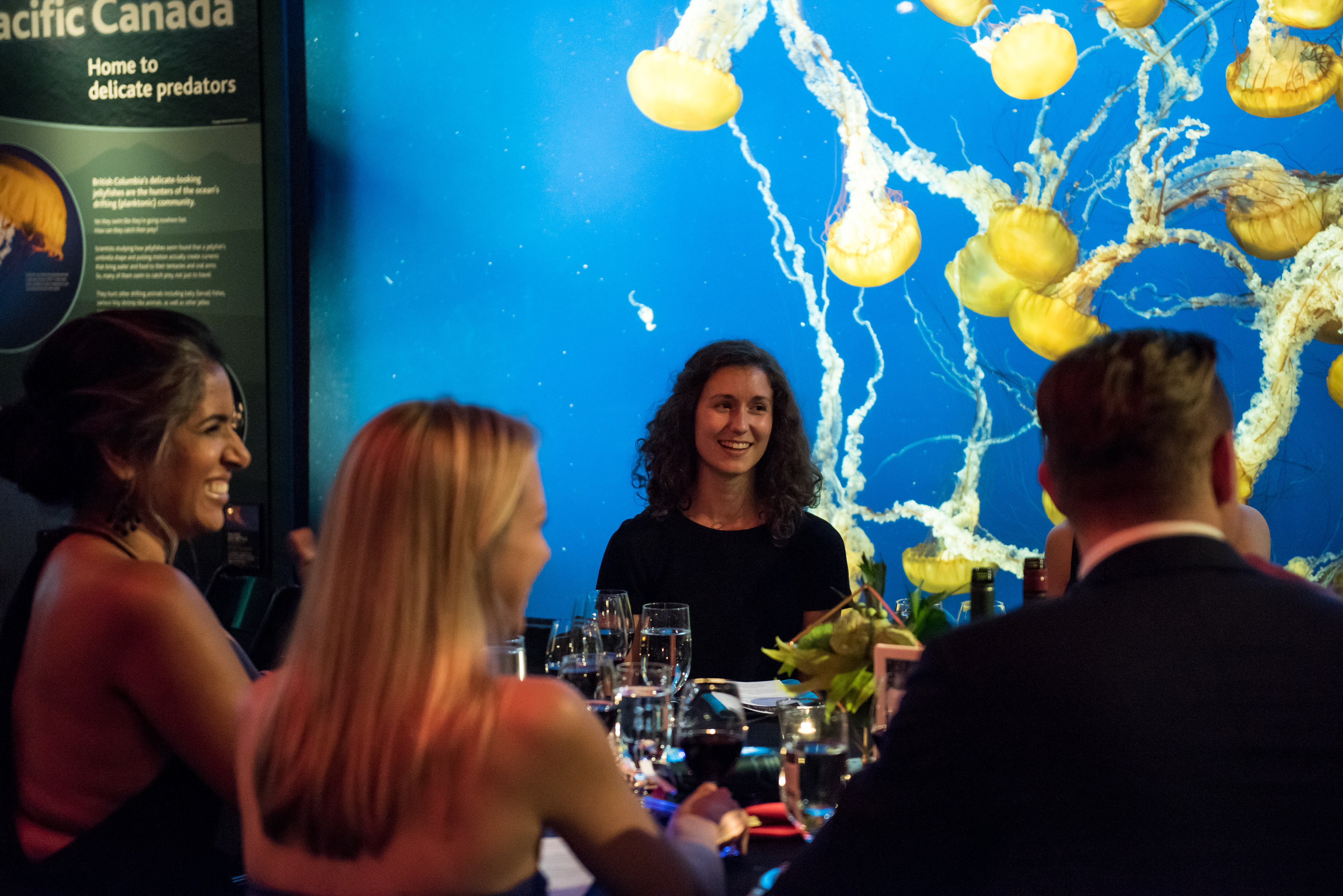 Art and Music Come Together for a Magical Night at the Vancouver Aquarium