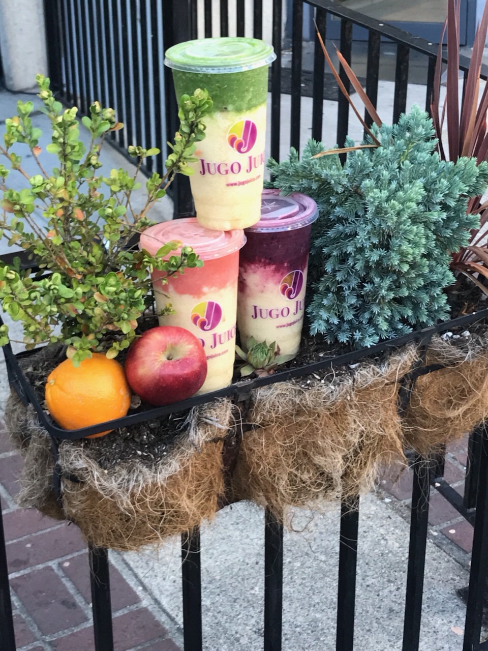 Keep Cool with Jugo Juice’s New Layered Lemonade Smoothies