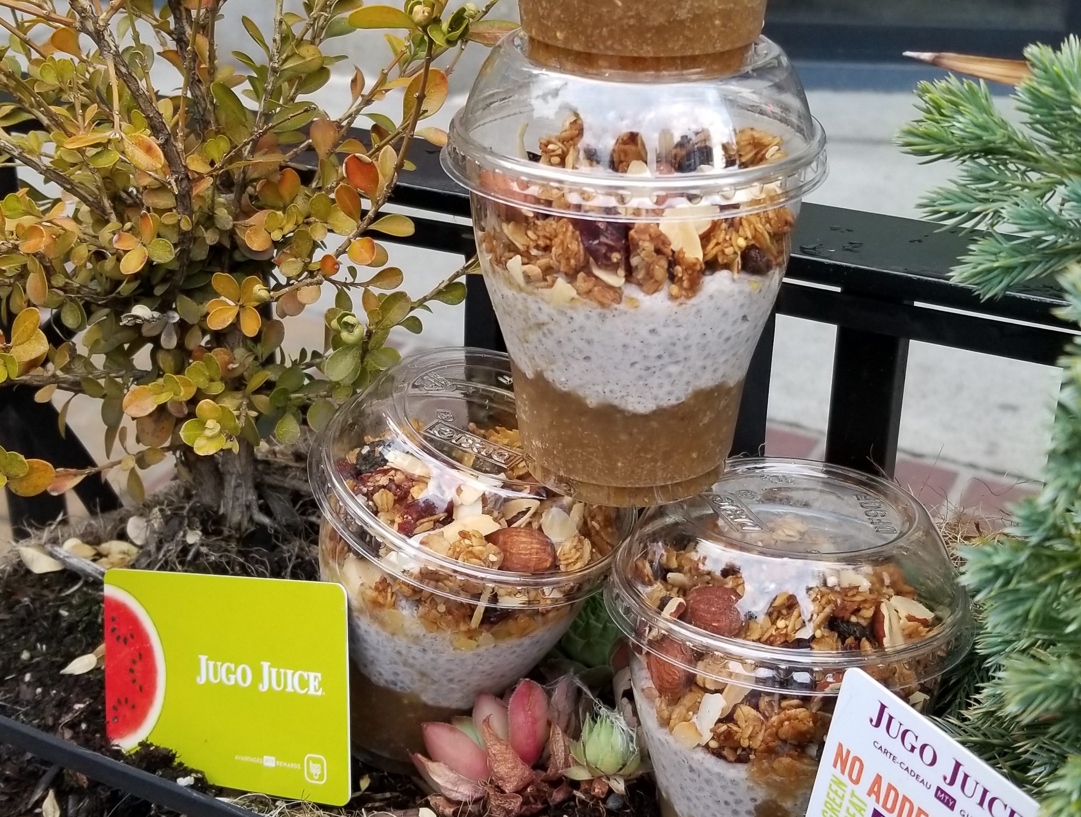 Fall Has Arrived at Jugo Juice