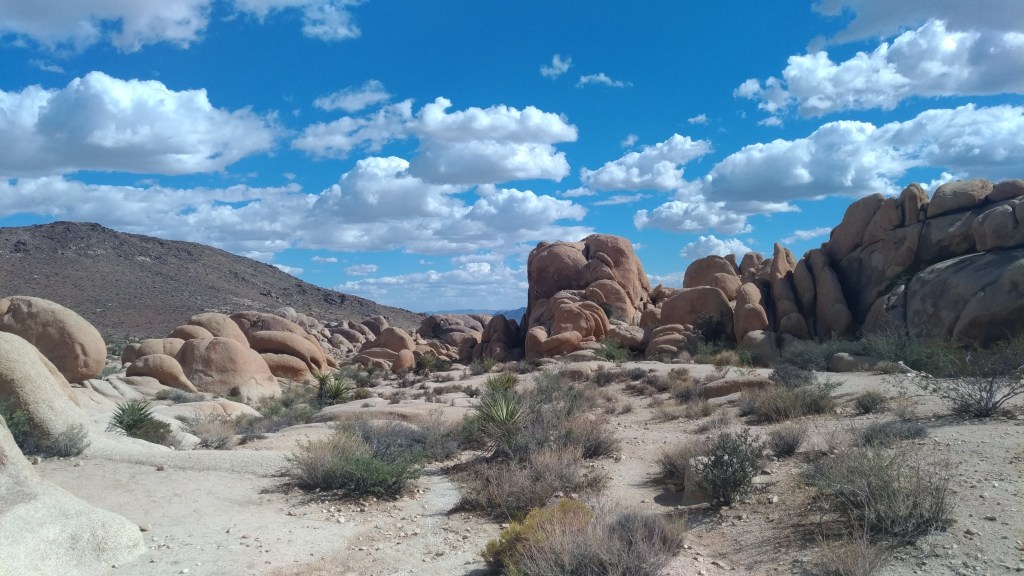 Top 3 Deals & Steals: October 9-15,&nbsp;2018