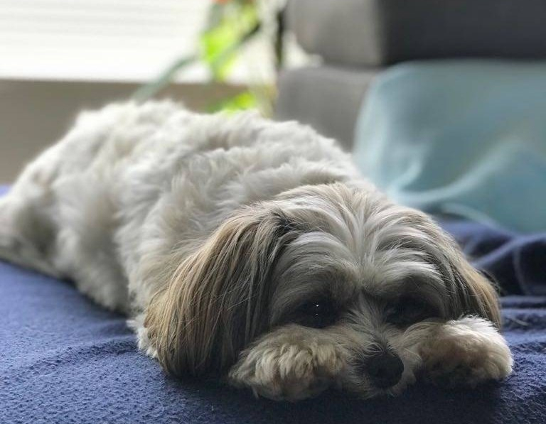 5 Ways to Beat the Post-Holiday&nbsp;Blues