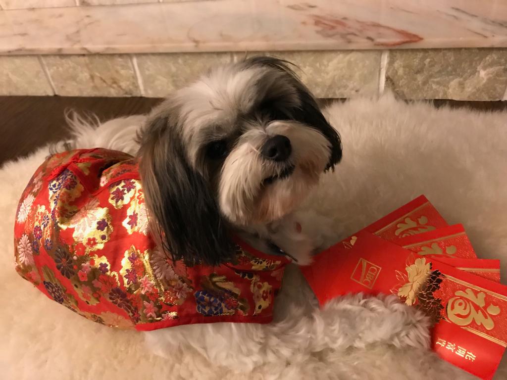 Top 3 Deals & Steals: February 5-11,&nbsp;2019