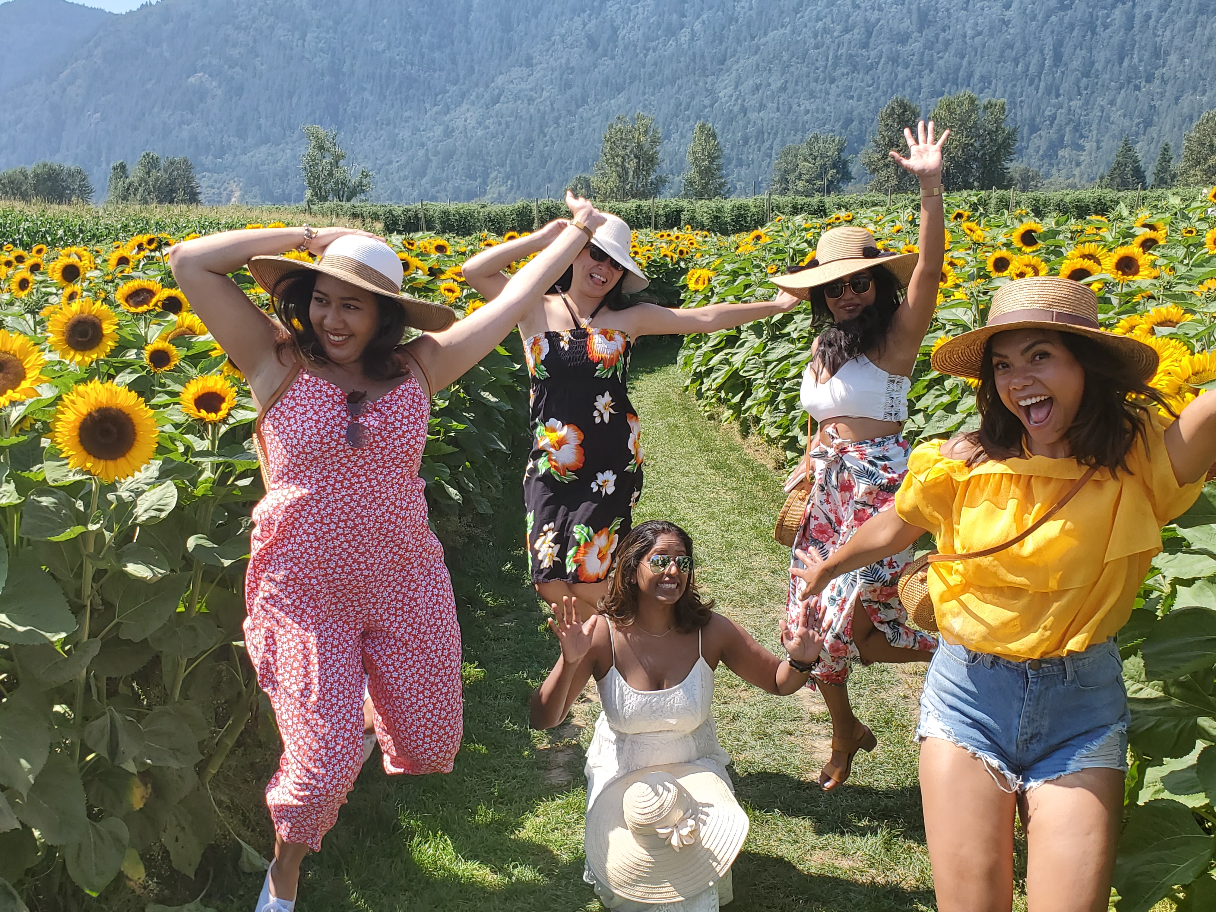 Chilliwack Sunflower Festival