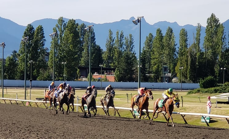 HPI Bet Makes it Easy to get into the Racing&nbsp;Action