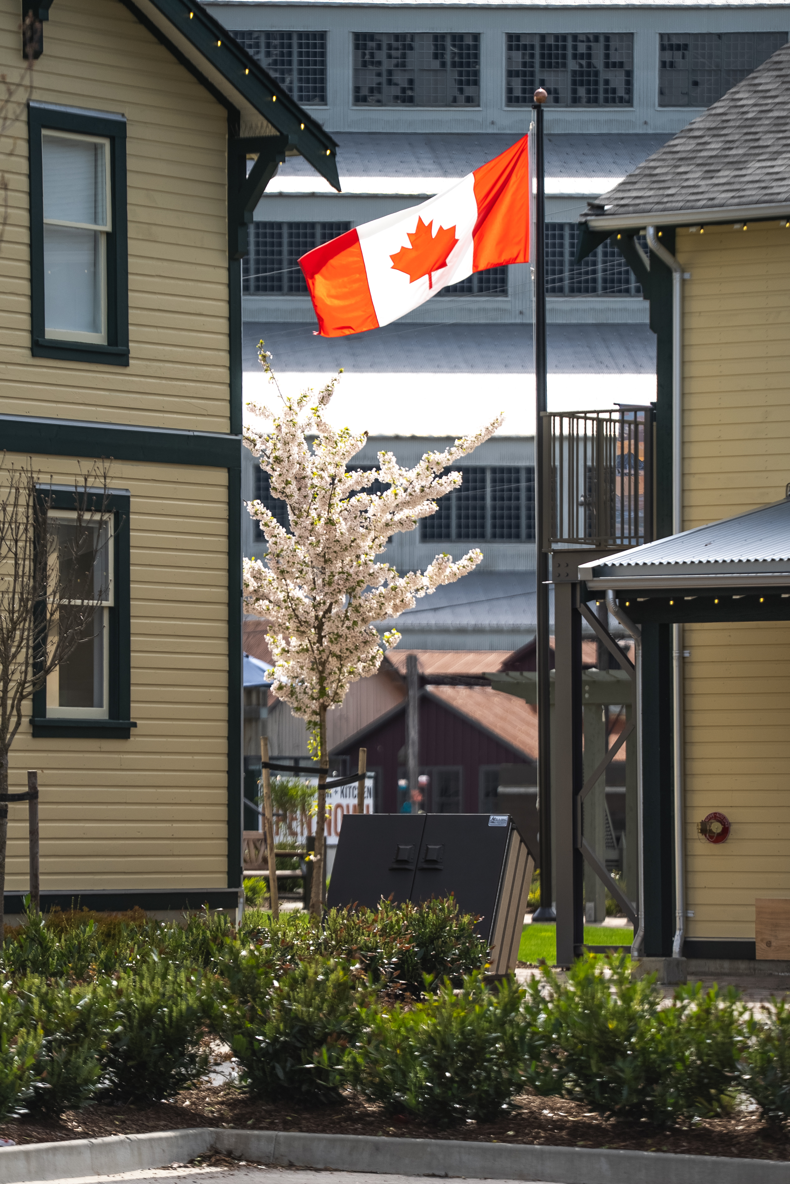 Britannia Village Celebrates Grand Opening with Family-Friendly Festivities on August 23