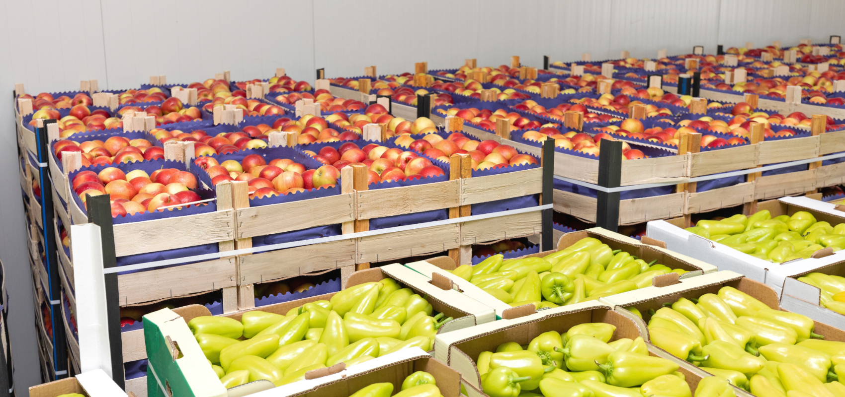 Pacific Gateway Food Terminal: A Bigger Table for BC Food Businesses